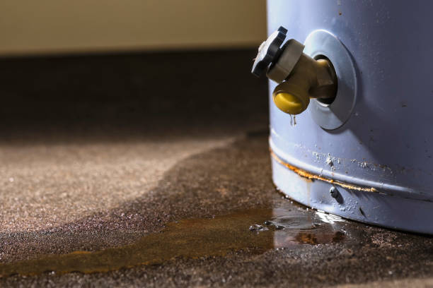 Best Ceiling water damage repair  in Worthington, MN