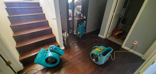 Best Professional water damage repair  in Worthington, MN