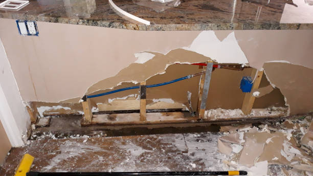 Best Mold removal after water damage  in Worthington, MN