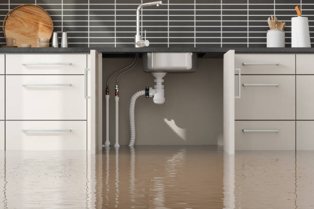  Worthington, MN Water damage restoration Pros