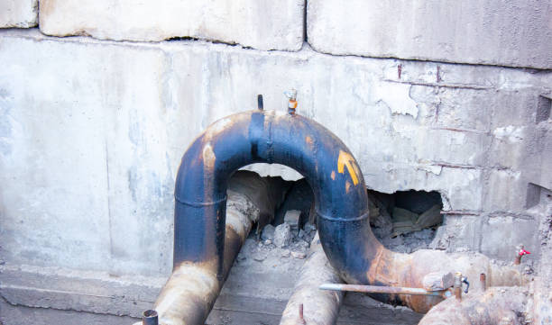 Best Professional water damage repair  in Worthington, MN