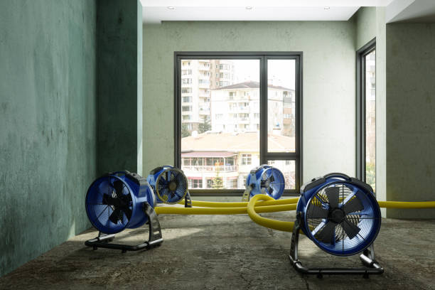 Best Carpet water damage restoration  in Worthington, MN