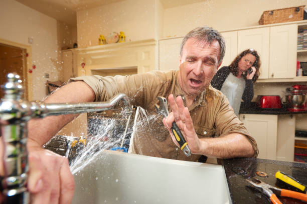 Best Professional water damage repair  in Worthington, MN
